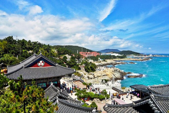 Cruise Layover : Small Group Busan Highlight Day Tour - Gukje Market quick bites and Jagalchi seafood culture in one long stretch