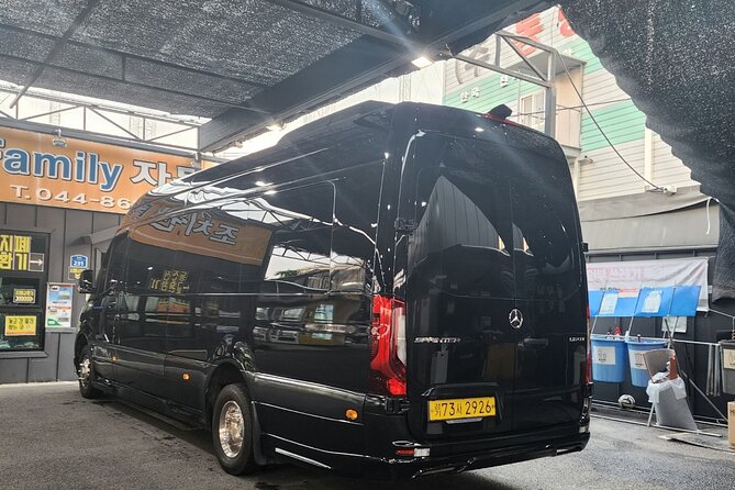 Customizable Private Seoul Tour in luxury van for VIP - Gwangjang Market: a focused food stop you will feel in your stomach