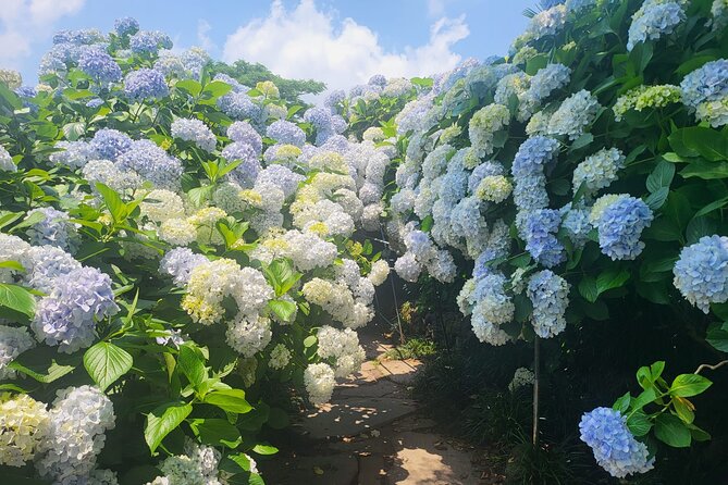 Customized private tour in Jeju island - How the private East, West, or South route works in 8 to 9 hours