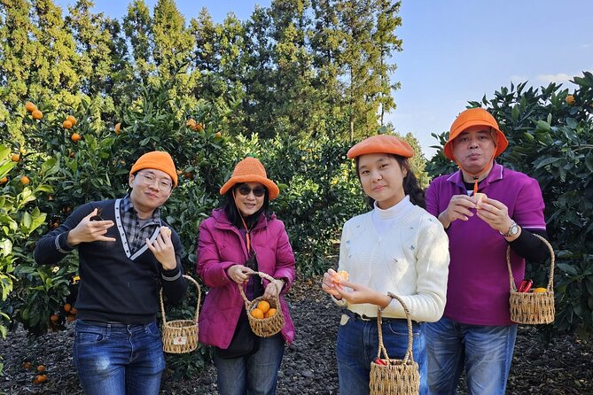 Customized private tour in Jeju island - West Jeju plan: Sinchang Coastal Road, Hyeopjae Beach, Osulloc