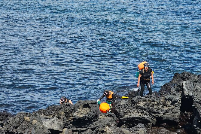 Customized private tour in Jeju island - Timing tips that make coastal and cave planning easier