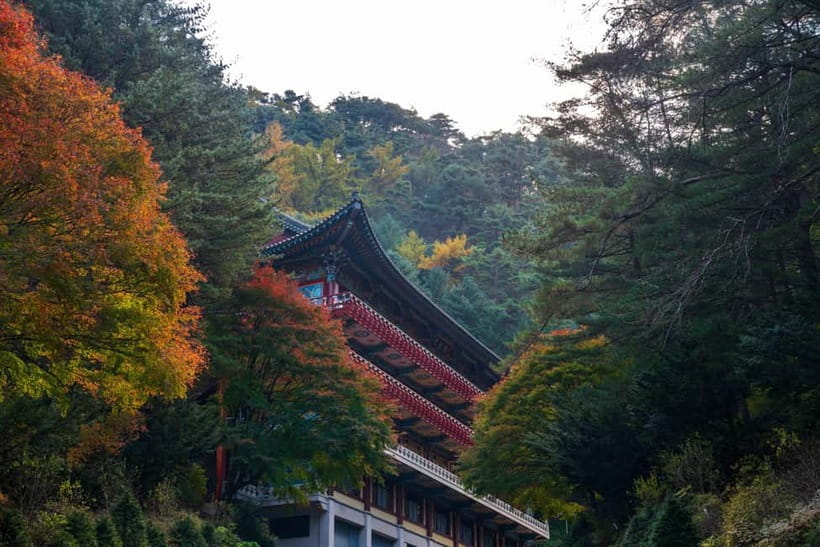 Danyang Tour:Guinsa Temple & Bobaljae & Cheongpung Cable Car - Temple food and monk-style calm: what you gain beyond sightseeing
