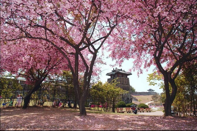 Day Tour of Suwon Hwaseong Fortress Starfield Waujeongsa Temple - Hanbok Wearing Experience Center: gim making souvenirs plus kimbap and hanbok