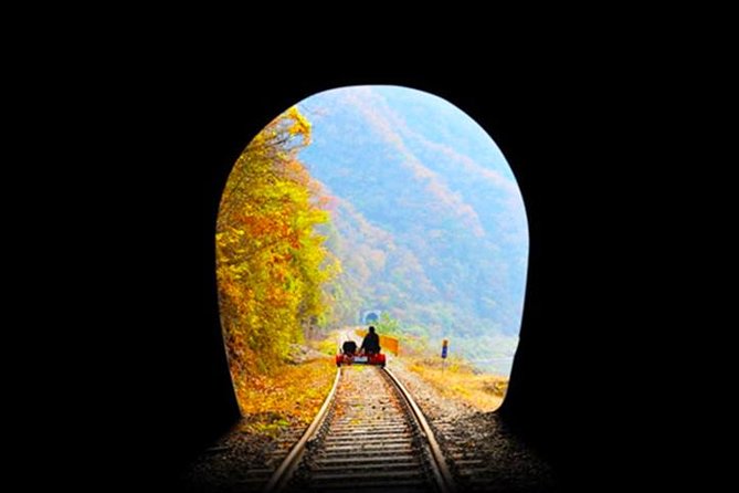 Day Tour to Gangchon Rail Bike Nami Island and Petite France - Who This Tour Fits Best (And Who Might Want Something Else)