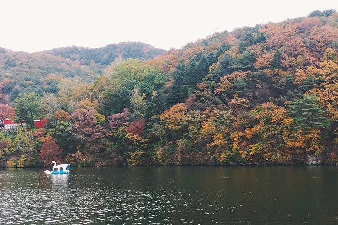 Day Tour to Gangchon Rail Bike Nami Island and Petite France - Getting Started Smoothly: 8:40 Pickup and Private Day Vibes