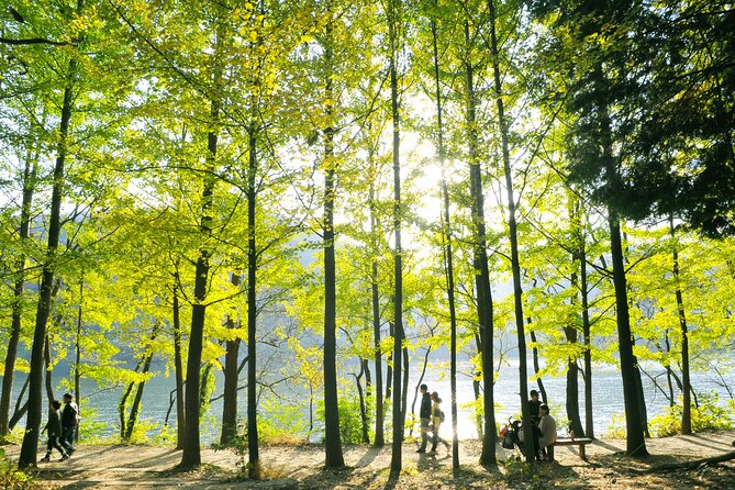 Day Trip to Nami Island with Rail bike and The Garden of Morning Calm - Timing, weather, and the hidden rhythm of a long day
