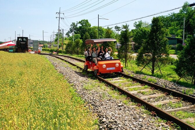 Day Trip to Nami Island with Rail bike and The Garden of Morning Calm - Garden of Morning Calm: quiet walks and a seasonal light plan
