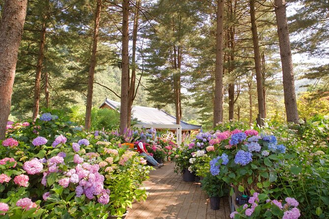 Day Trip to Nami Island with The Garden of Morning Calm - The Garden of Morning Calm: Two Hours to Walk, Pause, and Photograph