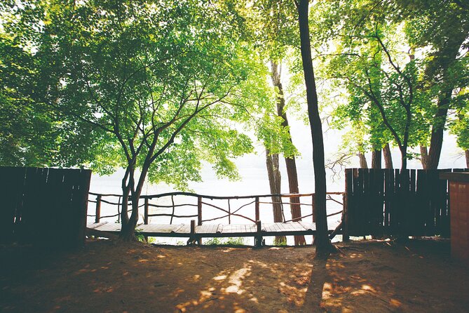 Day Trip to Nami Island with The Garden of Morning Calm - Timing, Weather, and Seasonal Twists You Should Know