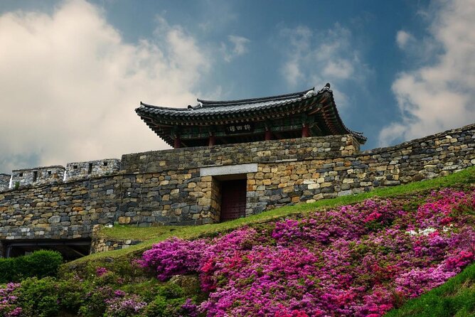 Discover Western Korea in 4days: All-Inclusive Experience - Day 4 in Busan: UN Memorial Cemetery and a thoughtful finish