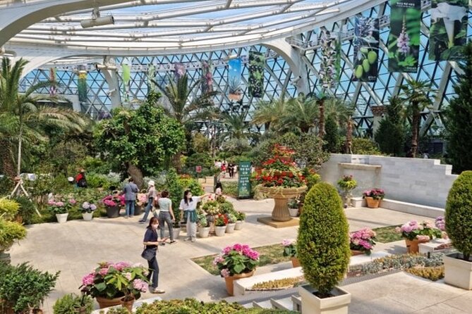 DIY Seoul Private Tour: Select 4 places you want to go - Modern Seoul stops: Cheonggyecheon, parks, COEX, DDP