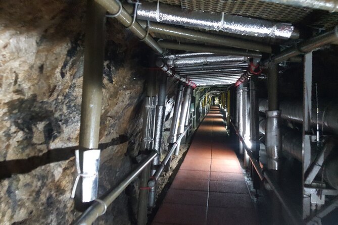 DMZ Guided tour from Seoul with Suspension Bridge or Gondola - Imjingak Park and the tunnel sections: what you need to know before you go