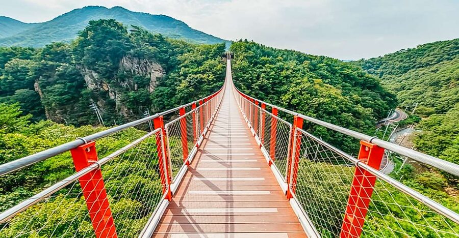 DMZ Insider Tour: 3rd Tunnel, NK Defector Meet & Red Bridge - The drive to the DMZ: why the group format actually helps