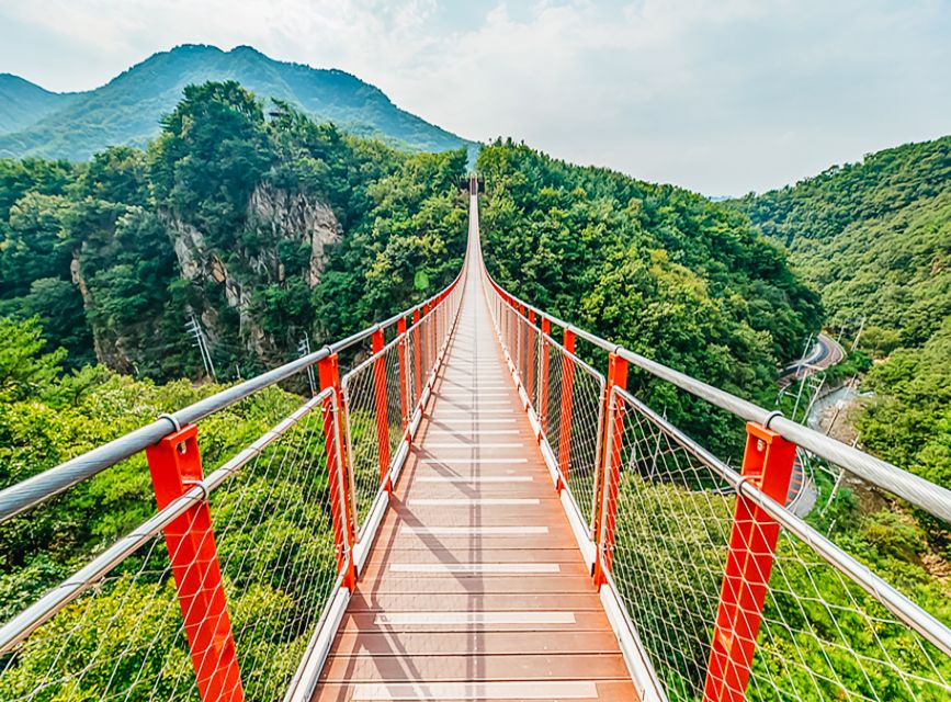 DMZ Insider Tour: 3rd Tunnel, NK Defector Meet & Red Bridge - Boat voyage full day option on the Imjin River