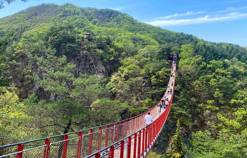 DMZ; NK Defector, 3rd Tunnel, Suspension Bridge,Hotel pickup - Imjingak Park, Mangbaedan, Freedom Bridge, and the Steam Locomotive