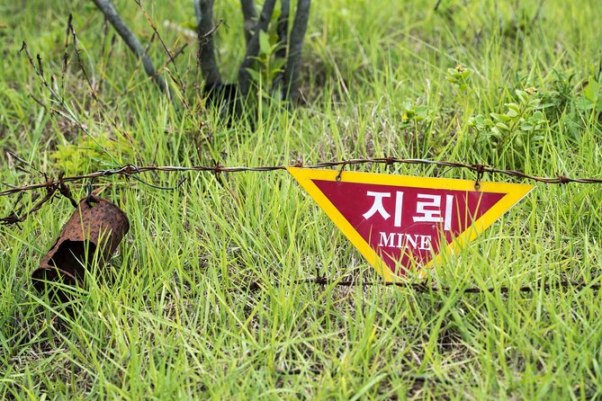 DMZ One Day Tour in Gyeonggi-do with English or Spanish - Guides in English or Spanish: Why Language Makes This Tour Work