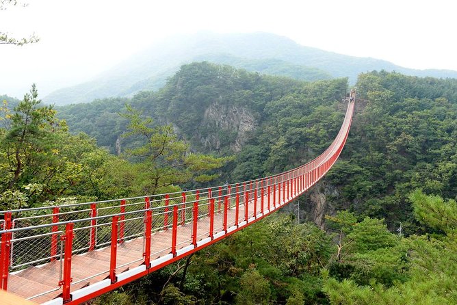 DMZ Tour: 3rd Tunnel, Option(Suspension Bridge, Boat) from Seoul - The Third Tunnel Walk: the Most Intense Part of the Day