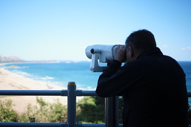 DMZ Tour for Sokcho Cruise Travelers in South Korea - Timing, Weather, and Getting Back to Sokcho