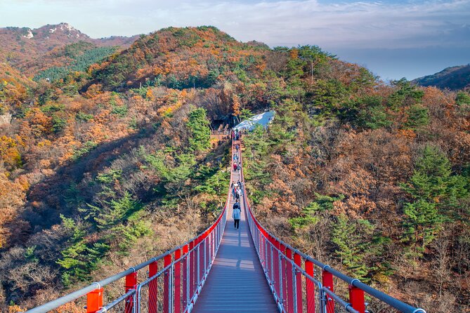 DMZ Tour Seoul to North Korea's 3rd Tunnel & Majang Lake Crossing - Entering the DMZ Day from Seoul, with pickup and real timing