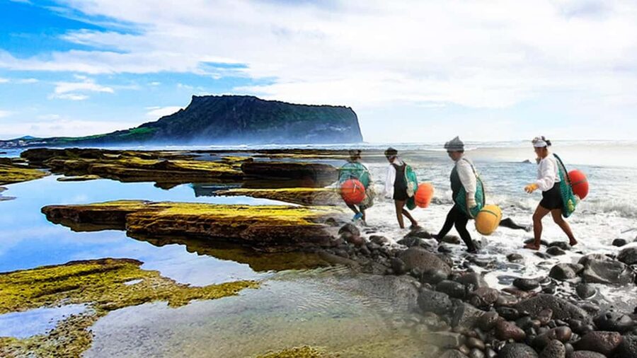 East Jeju: Day Tour with Seongsan Peak & Haenyeo Performance - Price and value: why $55 can work for the right traveler