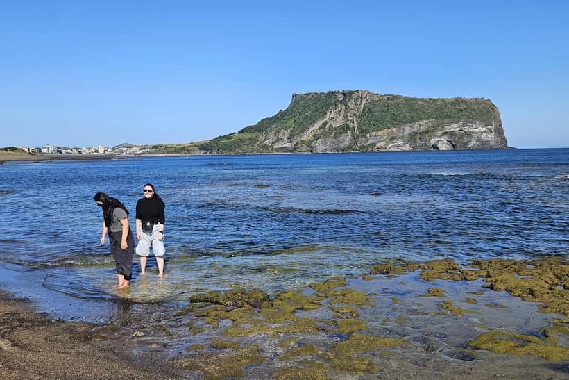 East Jeju: Day Tour with Seongsan Peak & Haenyeo Performance - The seasonal centerpiece stop: canola, taste, or a coast photo hit