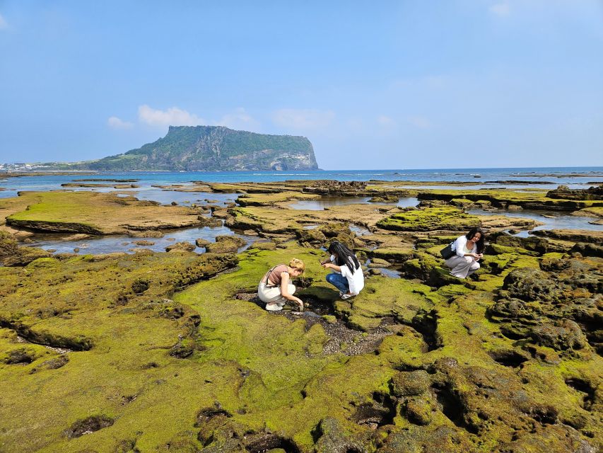 East Jeju: Day Tour with Seongsan Peak & Haenyeo Performance - Dongmun Traditional Market: the quick street-food sprint