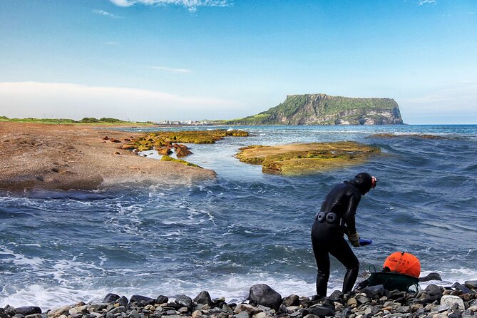East Jeju Essentials – Seongsan Ilchulbong (UNESCO) & Haenyeo - Key reasons this day tour works