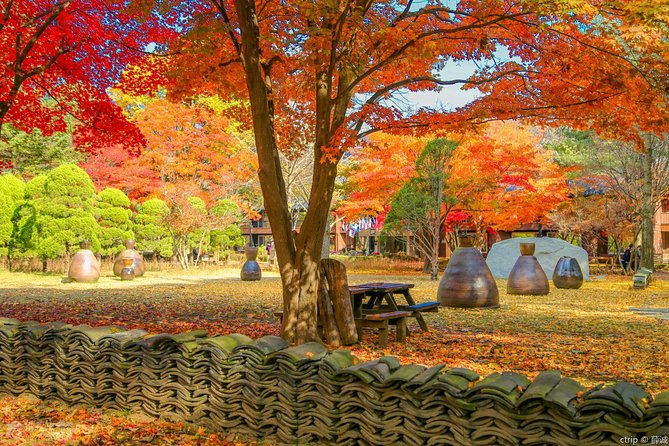 Easy private tour to Nami Island, Garden of Morning Calm - Garden of Morning Calm: Four Seasons, Film Sets, and Winter Light