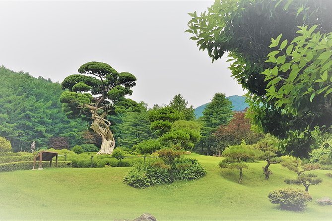 Easy private tour to Nami Island, Garden of Morning Calm - What You’ll Like Most, Based on the Actual Day