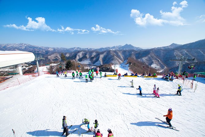 Elysian Gangchon Winter Ski with Nami Island Day Tour from Seoul - Key Points You’ll Care About