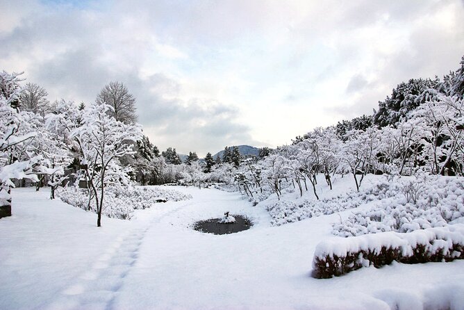Elysian Gangchon Winter Ski with Nami Island Day Tour from Seoul - Nami Island: Scenic Stroll Time With Easy Options