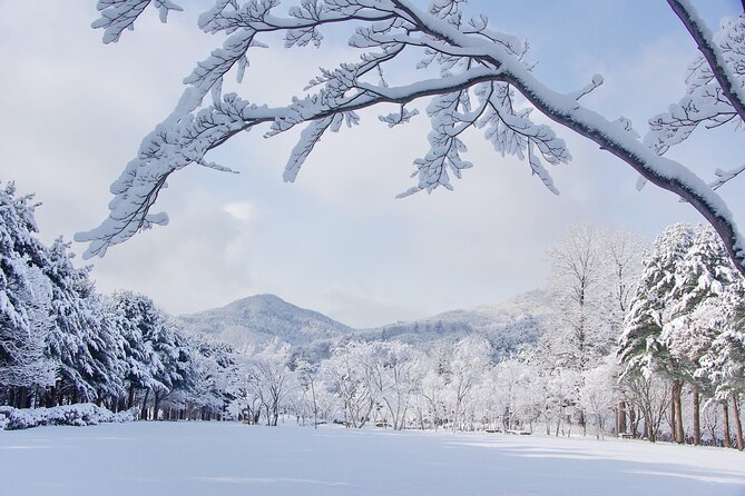 Elysian Gangchon Winter Ski with Nami Island Day Tour from Seoul - Choosing Your Option: Ski, Snowboard, Sled, or Sightseeing