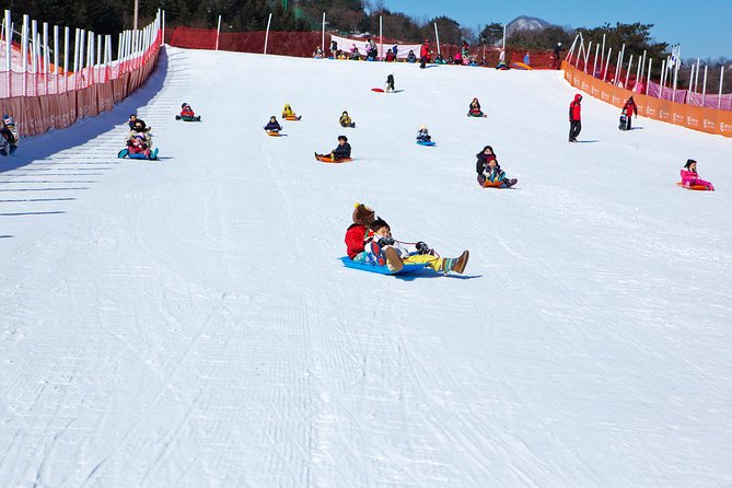 Elysian Gangchon Winter Ski with Nami Island Day Tour from Seoul - What to Budget Beyond the Tour Price