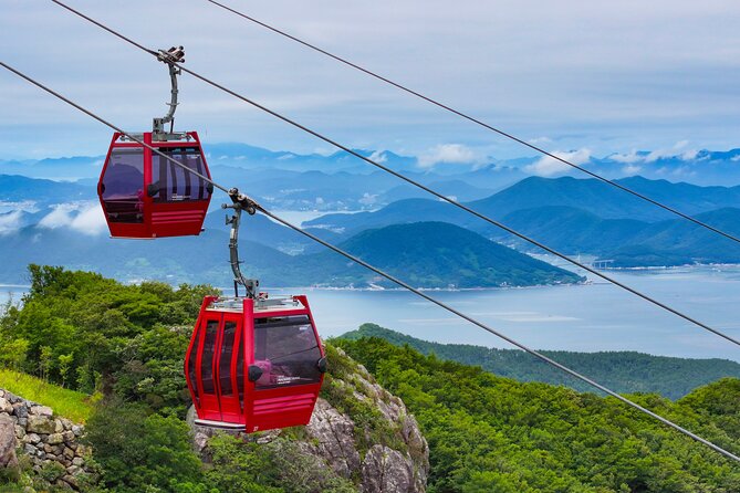Enchanting Oedo Island Day Tour from Busan with Windy Hill - Getting Out of Busan: a 13-hour island day that stays organized