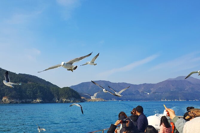 Enchanting Oedo Island Day Tour from Busan with Windy Hill - Geoje Panorama Cable Car: the one-hour ride that many people remember
