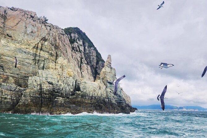 Enchanting Oedo Island Day Tour from Busan with Windy Hill - Price and value at $82.28: what you are really buying