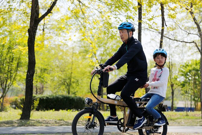 ENKO Electric Bike Ride on The Han River Bike Path in Seoul - Should You Book the ENKO Han River Electric Bike Ride?