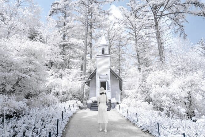 Eobi Ice Valley, Nami Island, Morning Calm and Rail Bike Seoul - Key highlights to expect