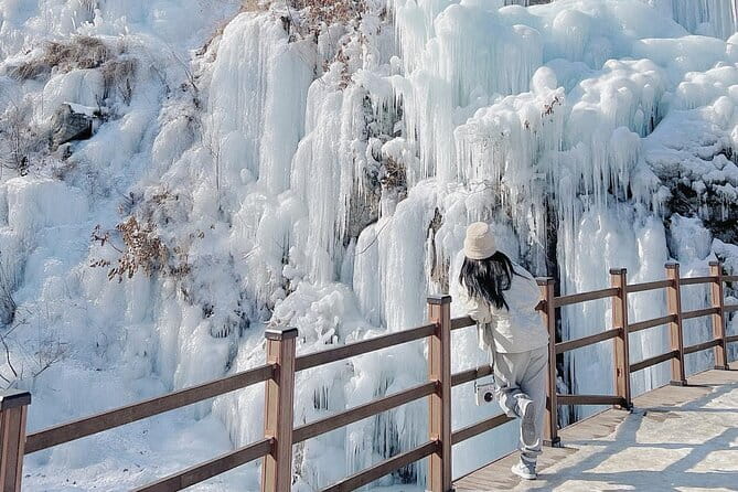 Eobi Ice Valley, Nami Island, Morning Calm and Rail Bike Seoul - Price and value for an all-in Seoul combo day