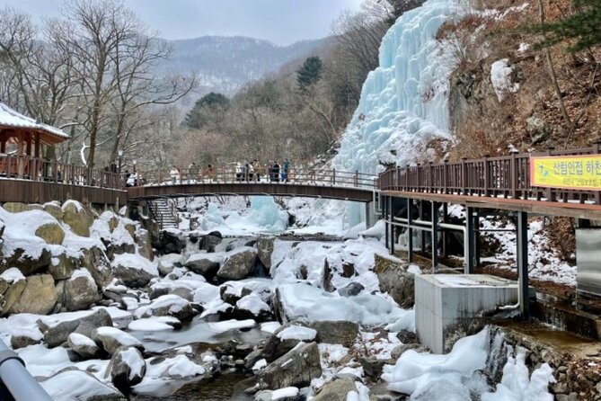 Eobi Ice Valley& Nami Island with Garden of Morning Calm Trip - Key reasons to consider