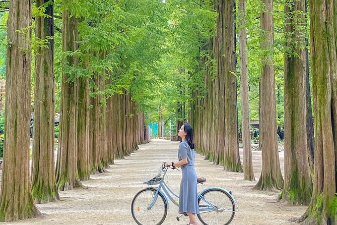 Eobi Ice Valley& Nami Island with Garden of Morning Calm Trip - Guide quality and pacing: the difference between smooth and stressful