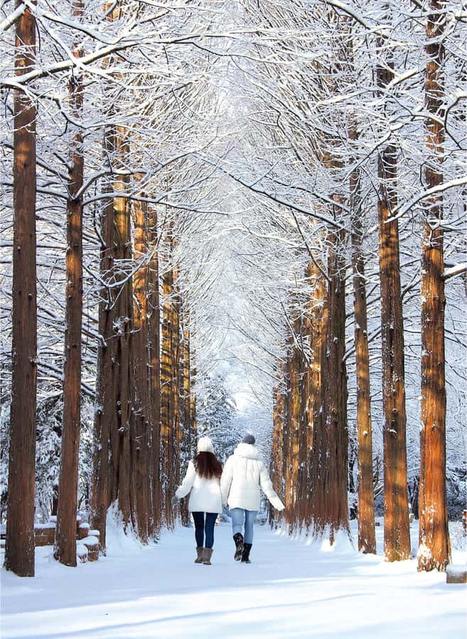 Eobi Ice Valley & Nami (+ Light Festival, Railbike, Alpaca) - Key Things You Should Know Before You Go