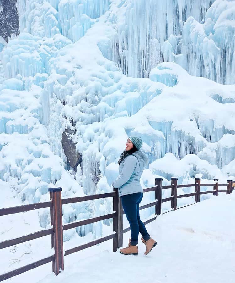 Eobi Ice Valley & Nami (+ Light Festival, Railbike, Alpaca) - Nami Island Namiseom (Why Winter Sonata Still Brings People Here)