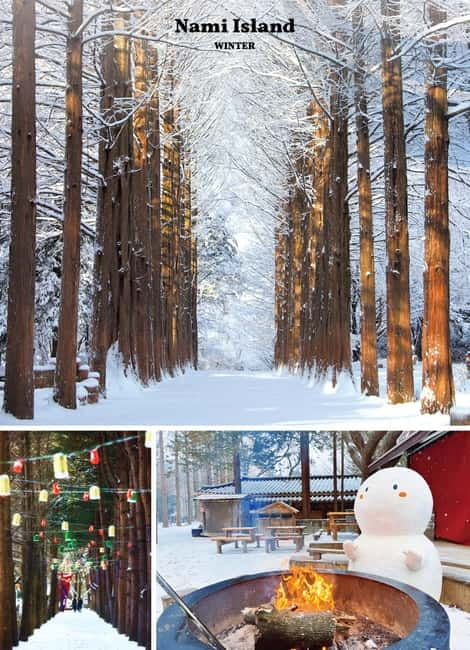 Eobi Ice Valley & Nami & Railbike & Petite & Morning Calm - Gangchon Rail Park Railbike: Four Seats, Big Views