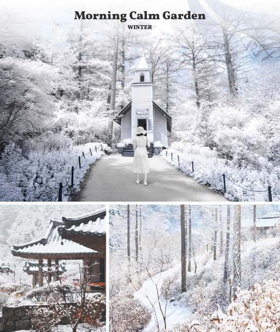Eobi Ice Valley & Nami & Railbike & Petite & Morning Calm - Nami Island in Winter: Snow Time and Slow Strolls