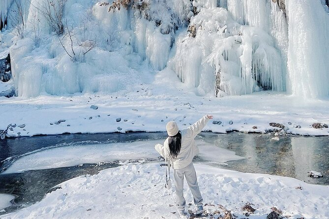 Eobi Ice Wall & Nami Island & Morning Calm Light Festival - Key Highlights You Should Know