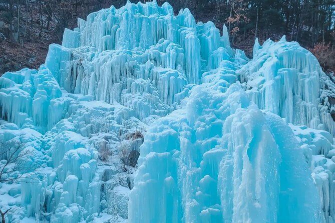 Eobi Ice Wall & Nami Island & Morning Calm Light Festival - Nami Island for Winter Calm: Ship Tickets and Real Free Time