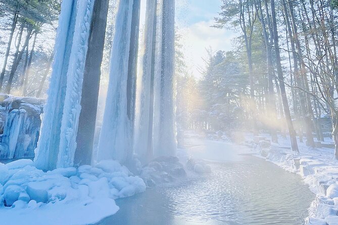 Eobi Ice Wall & Nami Island & Morning Calm Light Festival - Why the Guide Makes or Breaks This Day