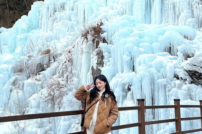 Eobi Ice Wall & Nami Island & Morning Calm Light Festival - Price and Value: Is $74.33 a Good Deal?