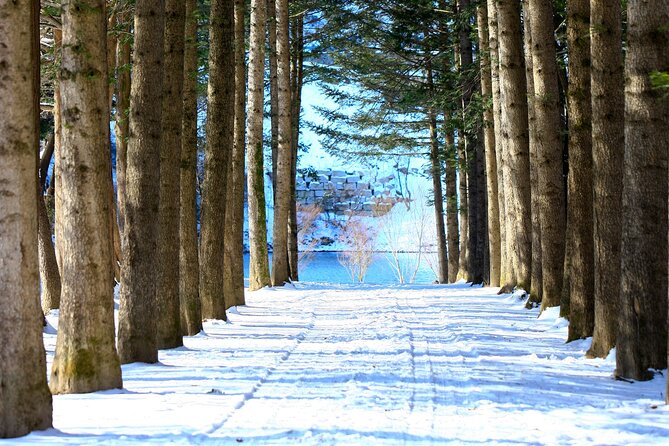 Eobi Ice Wall & Nami Island & Morning Calm Light Festival - Practical Tips for a Smoother Day